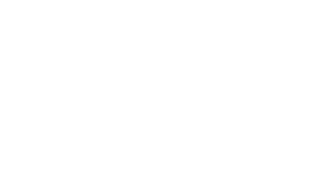 DSO Logo
